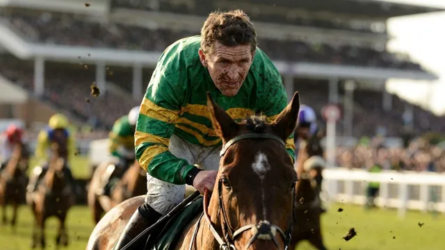 AP McCoy, Horse Racing