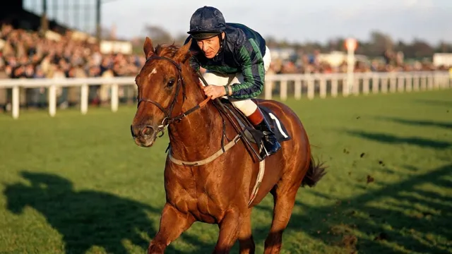 Lester Piggott, Horse Racing