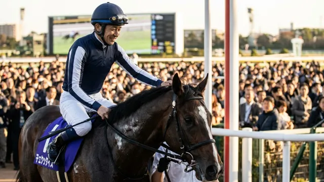 Yutaka Take, Horse Racing